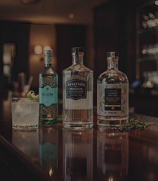 Gin